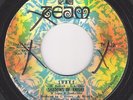 SHADOWS OF KNIGHT mod 45 garage FUZZ freakbeat HEAR ??