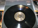 LP VINYL RECORD-PRINCE-THE LEGENDARY BLACK ALBUM-LIMITED EDITION-PROMO-RARE LOOK