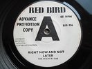 Shangri-Las - Right Now And Not Later - UK Red Bird Demo