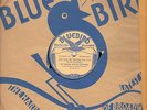 Bluebird 5119 Joe Haymes  Orch MODERN MELODY 1933 E+ nice