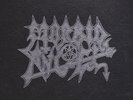  VERY RARE  Morbid Angel - Blessed Are the Sick Album on 7