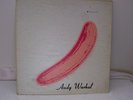 Vintage Andy Warhol The Velvet Underground & Nico Pink Banana Record Album