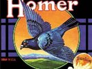 Homer (US '70 Garage/Punk)  / Grown In U.S.A. with bonustracks (2 LP Reissue)