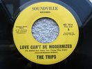 THE TRIPS, USA 45, LOVE CAN'T BE MODERNIZED, Vinyl, Northern Soul *
