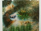 PINK FLOYD - A Saucerful of Secrets - Wonderful EX+ copy