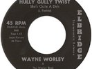 WAYNE WORLEY	ELBRIDGE 3762 	HULLY GULLY TWIST 	M- 	$200.00