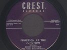 Smoki Whitfield  Function At The Junction  BLUES BLACK ROCKER JIVER CREST  hear