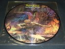 JUDAS PRIEST Sad Wings of Destiny LP PICTURE DISC Heavy Metal