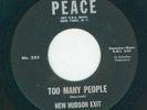 Northern / Garage - New Hudson Exit -Too many people / Fantasy day {Peace}  VG++