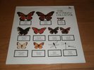 the JAM Butterfly Collector 2×LP vinyl PAUL WELLER