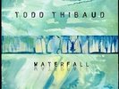 TODD THIBAUD - WATERFALL  VINYL LP + CD NEW