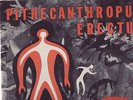 CHARLIE MINGUS - Pithecanthropus Erectus - Mono Jazz LP