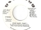 NORTHERN SOUL THE FANTASTIC PUZZLES  