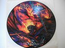 Iced Earth - the Dark Saga [PICTURE LP] [guter Zustand]