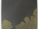 CIRCLE TAKES THE SQUARE / PAGENINETYNINE split 7