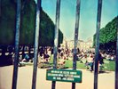 Tame Impala - Lonerism Vinyl 2LP + Digital DA0550548n