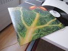 CATAPILLA CHANGES SPIRAL UK PSYCH/FOLK/ROCK