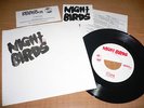 NIGHT BIRDS | 1st press /500 *STAMPED SLEEVE* Ergs (Dirtnap Grave Mistake)