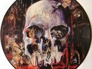 SLAYER - SOUTH OF HEAVEN - RARE LIMITED EDITION PICTURE PIC DISC VINYL LP