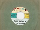 FLAMINGOS - Please Wait For Me.....Lovers Never Say Goodbye - Rare - EX