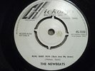Newbeats - Run Baby Run - UK Hickory