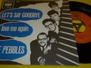 THE PEBBLES Let's say goodbye 7