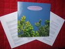 The Go Betweens 1979 - 1990 DLP C86 Postcard Robert Forster Nr mint