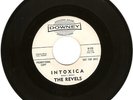 SURF GUITAR INSTRUMENTAL ROCKER- THE REVELS- 