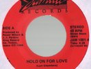 SHO NUFF hold on for love MONSTER MODERN SOUL FUNK 7