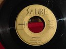 THUNDER ROCKS Warpath / Restless RARE ROCKABILLY 45 GARAGE ROCKER on SABRE *HEAR