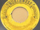 Unreleased Michigan Garage Acetate 45 - THE NIGHT BEATS - NORTHWEST DETROIT