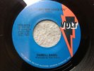 45 RPM Darrell Banks 