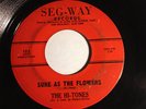 VERY RARE DOO-WOP 45/ THE HI-TONES 