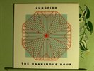 LUNGFISH UNANIMOUS HOUR  VINYL LP NM-/VG+
