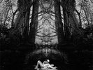 Die Form  -  In Human  (Box Set, 2x Picture Vinyl + Poster)  RAR