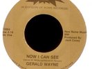 GERALD WAYNE Now I Can See on Starr Ohio Modern Soul 45 Hear