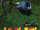 Phish Lawn Boy LP, original on Absolute a Go Go (promo copy)