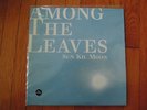 Sun Kil Moon - Among the Leaves Blue Vinyl Record LP MINT