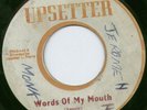 ROOTS REGGAE - WORDS OF MY MOUTH - GATHERERS ( GETHERERS ) JA UPSETTER 7