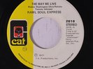 RAW SOUL EXPRESS: The Way We Live 45 (few lite foxing spots ol) rare Funk