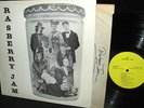 RARE ACID ARCHIVES PRIVATE = RASBERRY JAM = MOODY TEEN FOLKROCK FEMALE HARMONY