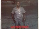 Robert French - Wondering - Killer LP
