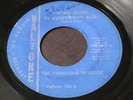 Fabulous Apollos   Some Good In Everything Bad   Valtone   northern soul 45 HEAR