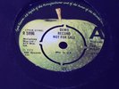 PAUL Mc CARTNEY  & WINGS --- 7