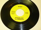 GARAGE PSYCH BAND 45RPM RECORD - THE ESSENTIALS - KANDY 82042