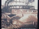 RED HOUSE PAINTERS S/T LP UK Original 4AD Rollercoaster