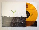 TIGERS JAW BALANCE AND COMPOSURE no sleep run for cover records title fight