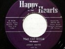 JIMMY HAYES & CAMEY RIDGE RAMBLERS 45 Tom Cat Boogie US 1964 Rockabilly #BB 429