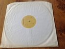 PJ Harvey Rid Of Me Lp Test Pressing White Label