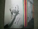 *SIGNED* - Pond - 'Hobo Rocket' LP, Tame Impala
